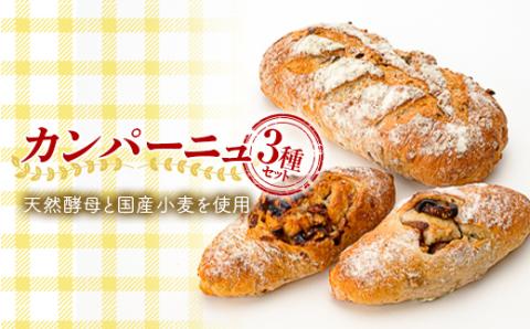カンパーニュ 3種セット パン フランスパン 菓子パン 東北 F3S-1814
