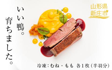 『満天☆青空レストランでご紹介！』もがみの地で育った最上級の鴨 最上鴨 半羽 約500g（むね・もも 各1枚）かも 鴨 鴨肉 鴨鍋 鴨南蛮 鴨焼き 山形県 新庄市 F3S-1411