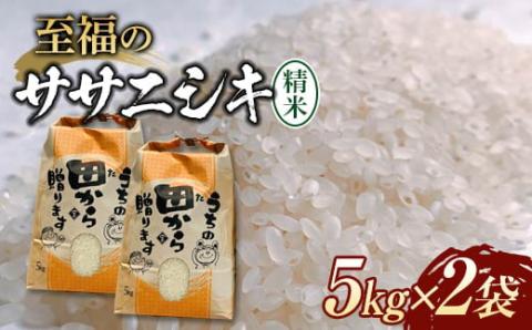先行受付 令和5年産『至福のササニシキ』（精米）5kg×2袋 米 お米 おこめ 山形県 新庄市 F3S-1570