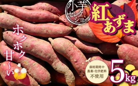 栽培期間中、農薬・化学肥料不使用 ホクホク甘～い『小芋セレクション紅あずま』5kg さつまいも サツマイモ 山形県 新庄市 F3S-1939