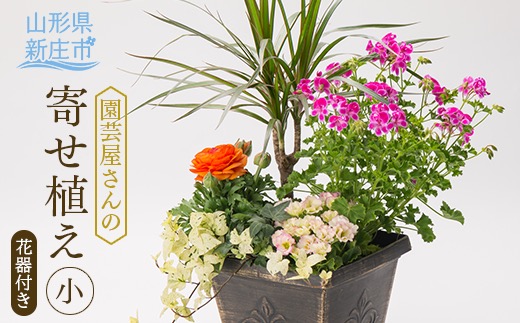 園芸屋さんの寄せ植え小 ふるさと納税 山形県 新庄市 F3S-0292