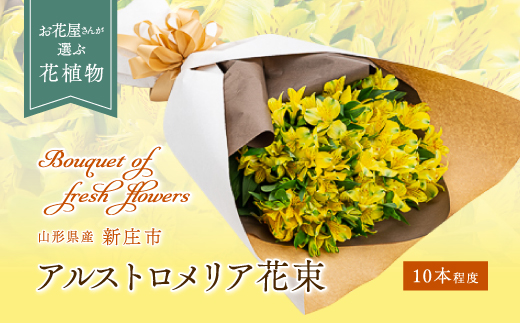アルストロメリア（花束） 10本程度 山形県 新庄市 F3S-0321