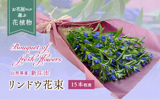 リンドウ（花束） 15本前後 りんどう 山形県 新庄市 F3S-0322