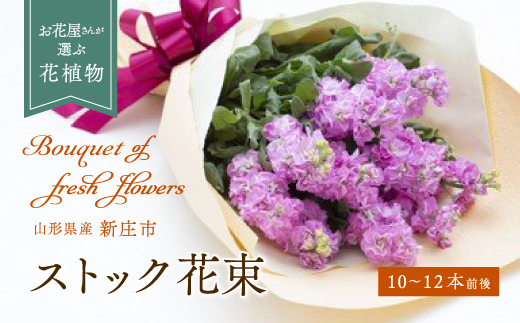 ストック（花束） 10～12本程度 F3S-0410