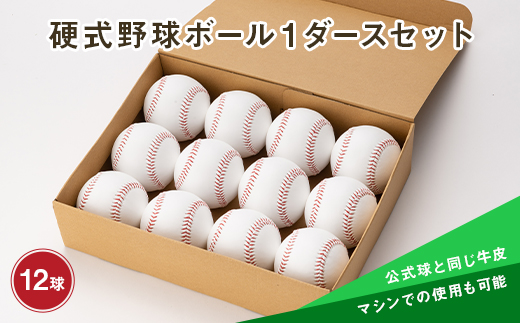 硬式野球ボール1ダースセット F3S-0594