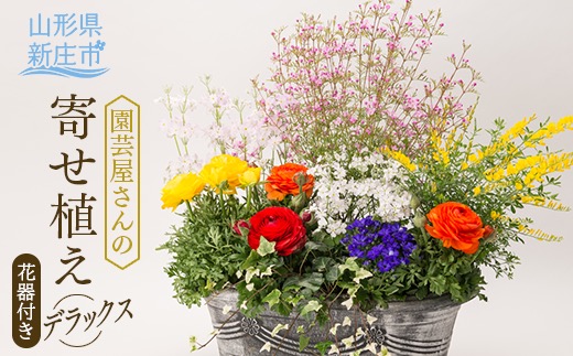 園芸屋さんの寄せ植えデラックス F3S-0808