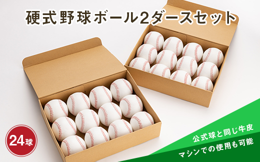 硬式野球ボール2ダースセット F3S-0809