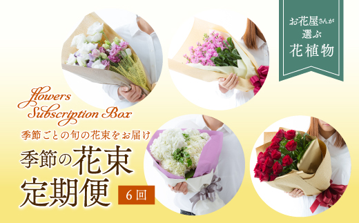 【全6回 定期便】 2ケ月に1回 季節の花束 定期便 F3S-1129