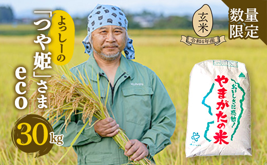 【数量限定】よっしーの「つや姫」さまeco（玄米）30kg 米 お米 おこめ 山形県 新庄市 F3S-1633