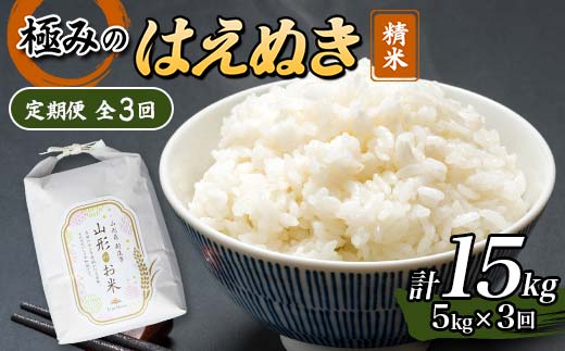 定期便 全3回 極みのはえぬき（精米）5kg 米 お米 おこめ ふるさと納税 山形県 新庄市 F3S-2427