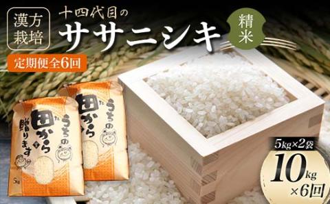 [定期便]令和5年産 漢方栽培 低温熟成乾燥 十四代目のササニシキ 5kg×2袋 (精米)全6回 米 お米 おこめ 山形県 新庄市