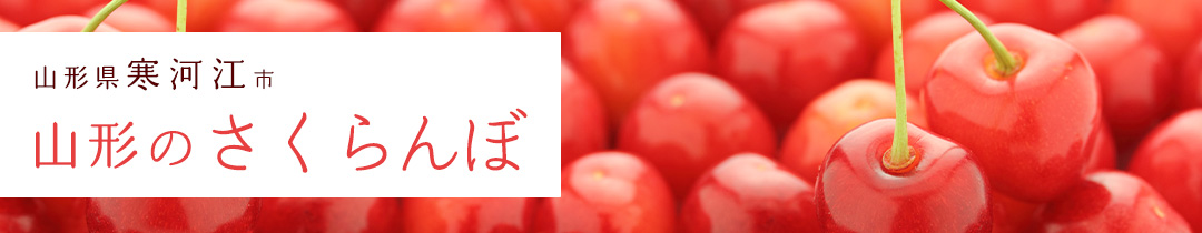 《先行予約開始！》【山形のさくらんぼ】寒河江市ふるさと納税