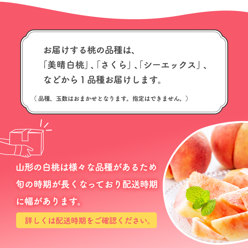 令和8年産 先行予約 有機質肥料栽培 硬めの 白桃  2kg（5～9玉） 秀品 品種おまかせ 山形県産 【2026年8月下旬頃～10月上旬頃発送予定】　012-B-AF008 2kg（5～9玉）