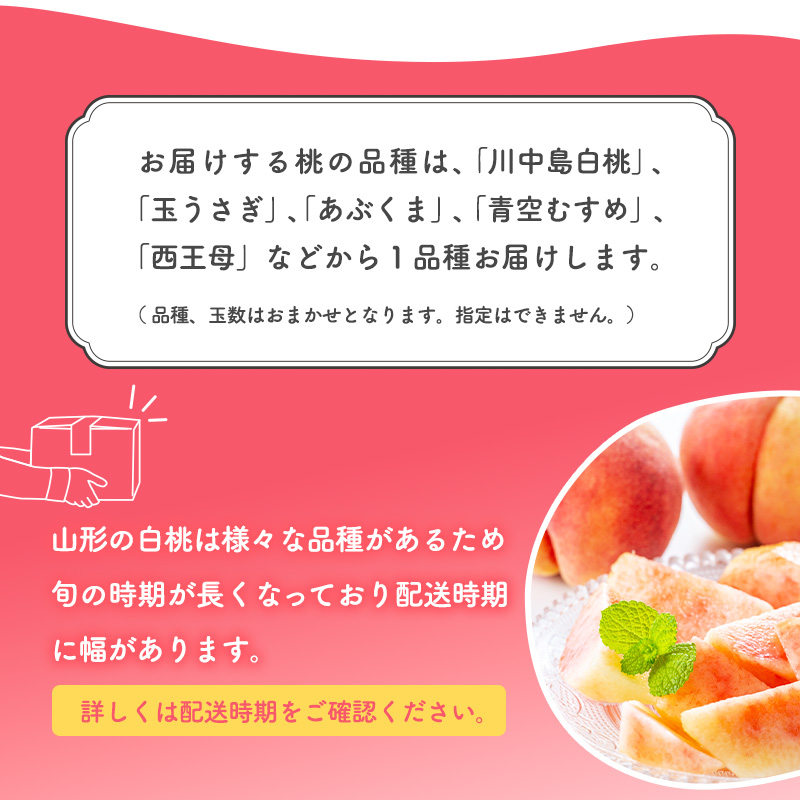 令和8年産 先行予約 有機質肥料栽培 白桃 3kg（8～13玉） 秀品 品種おまかせ 山形県産 【2026年8月下旬頃～9月下旬頃発送予定】　016-B-AF024 3kg（8～13玉）