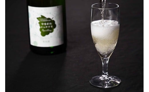 《山形県産ぶどう100％》やまがた シャルドネ スパークリング ワイン 白（750ml×2本）　020-E-CK017