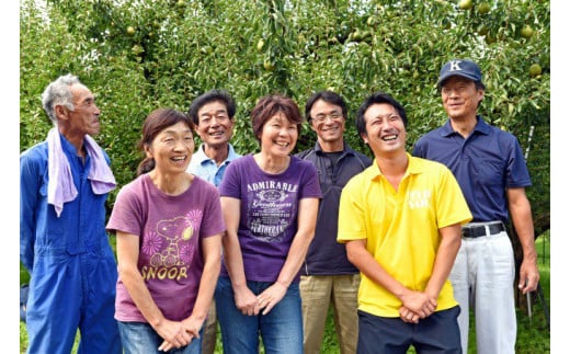 《先行予約》令和8年産 洋梨 ラ・フランス 5kg（18玉 - 20玉）《ご自宅用》 L - 2L 山形県産 【2026年11月頃から12月上旬頃発送予定】　012-B-HK002 《ご自宅用》 5kg（18玉 - 20玉） 秀品 L - 2L