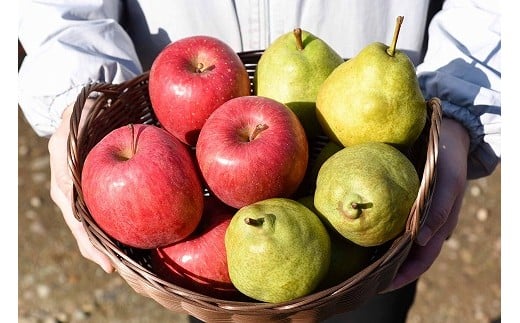 《農家直送》りんご と ラ・フランス 合計5kg（18～20玉） 秀品 山形県産《ご家庭用》 【2025年12月上旬頃～下旬頃発送予定】　012-B-HK005