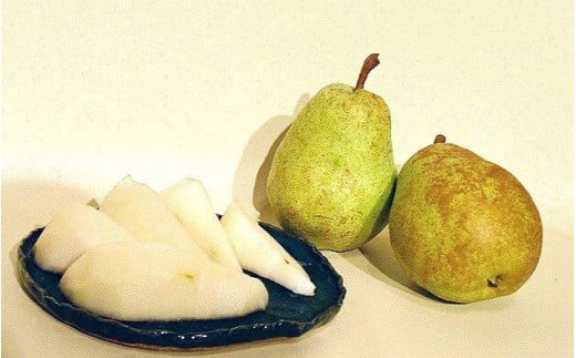 《先行予約》 令和8年産 洋梨 バラード 5kg（10玉 - 14玉）秀品 山形県産【2026年10月上旬頃から中旬頃発送予定】014-B-HK012