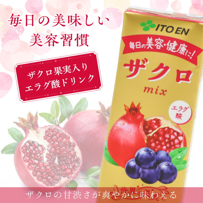 伊藤園 ザクロmix 紙パック 200ml 24本 013-G-IT009