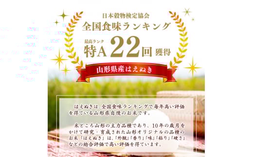 ＜ 2026年1月上旬＞ 令和7年産 はえぬき 5kg（5kg×1袋）清流寒河江川育ち 山形産はえぬき 2025年産　017-C-JA007-202601上 2026年1月上旬　発送コース