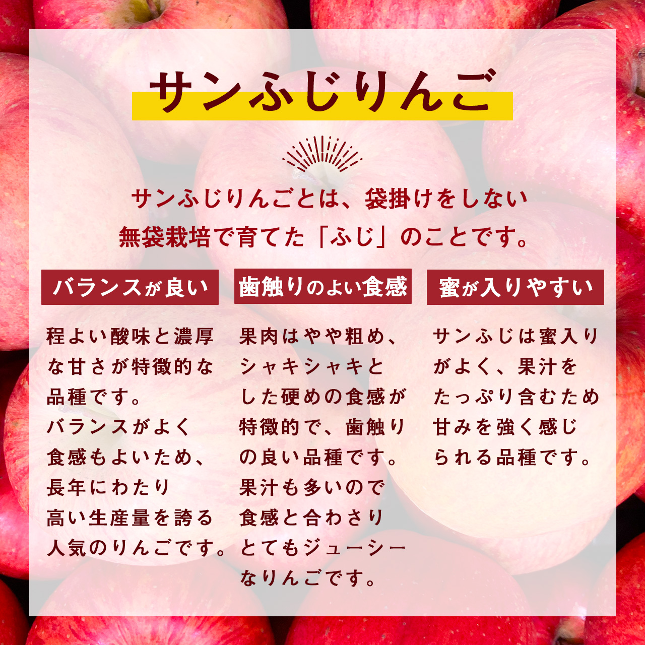 《先行予約》 令和8年産 りんご サンふじ 秀品 3kg（7 - 9玉） 山形県産 【2026年11月頃より順次発送予定】2026年産 山形産　014-B-JF003 りんご「サンふじ」秀品 3kg（7～9玉）