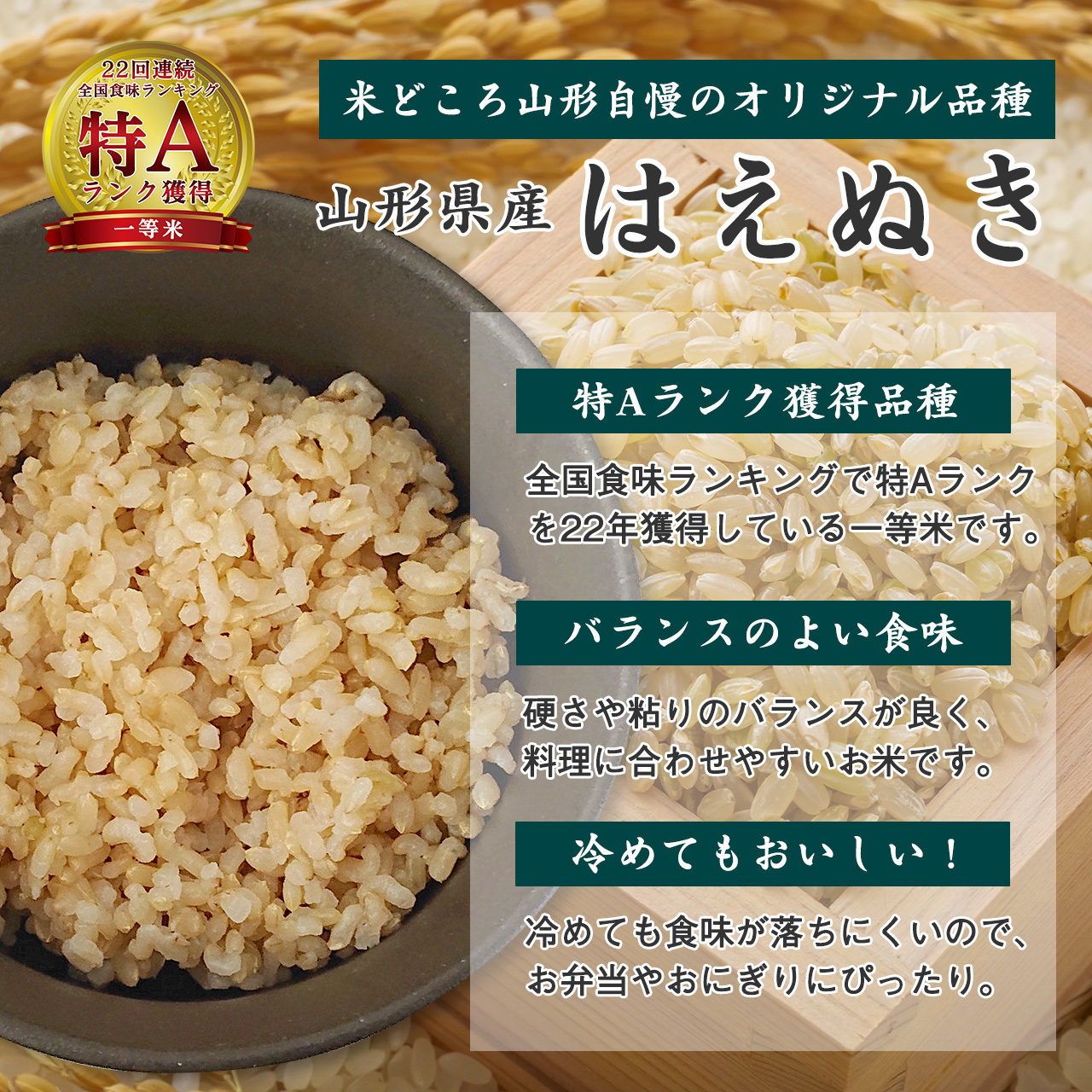 《先行予約》【令和8年産】玄米 2品種 食べ比べセット 計9kg（はえぬき 3kg×2袋・つや姫 3kg×1袋） 2026年産 山形県産　【2026年9月下旬頃より発送予定】　　024-C-JF008-R8