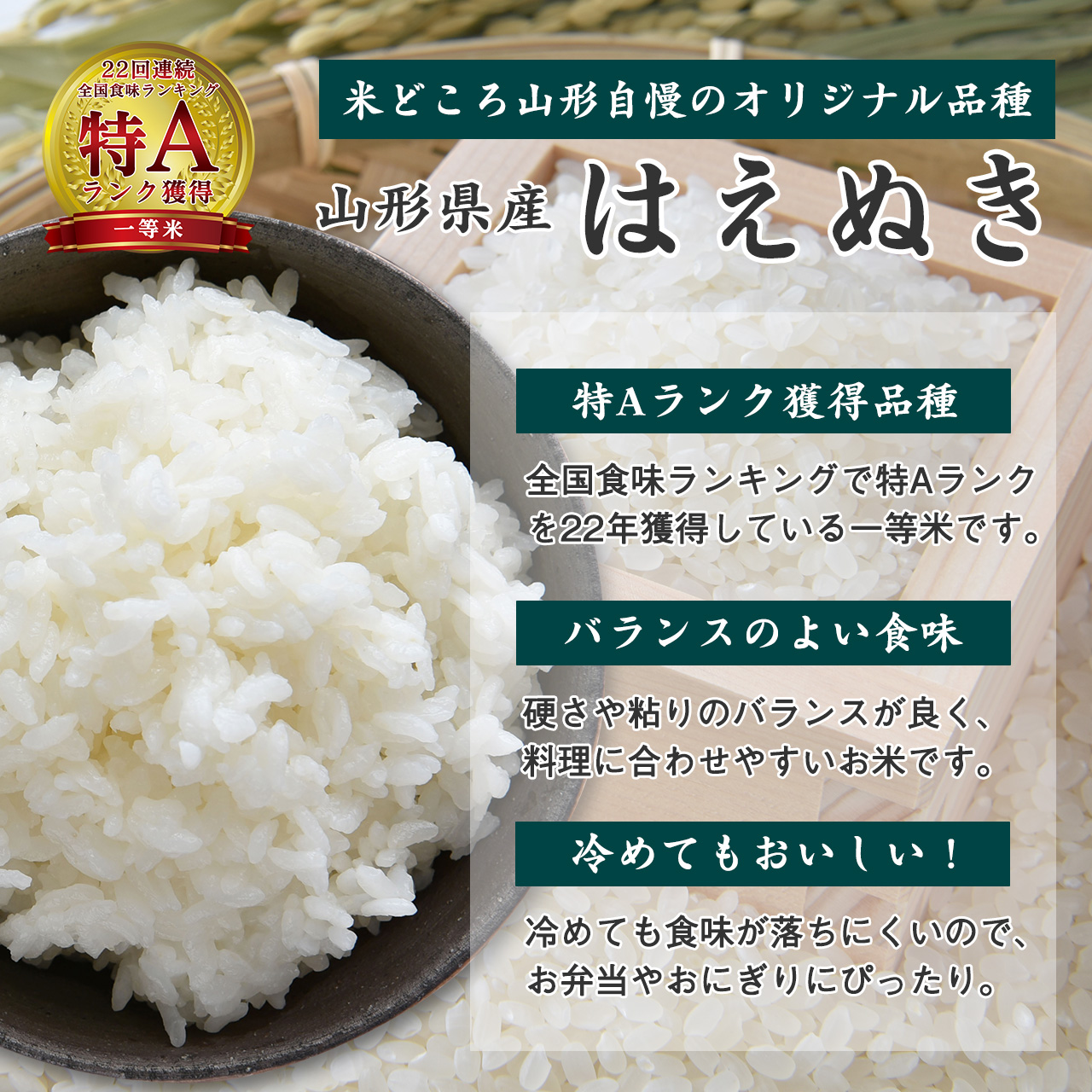 《先行予約》【令和8年産】はえぬき 精米 9kg（3kg×3袋） 2026年産 山形県産　【2026年9月下旬頃より発送予定】　024-C-JF010-R8 令和8年産