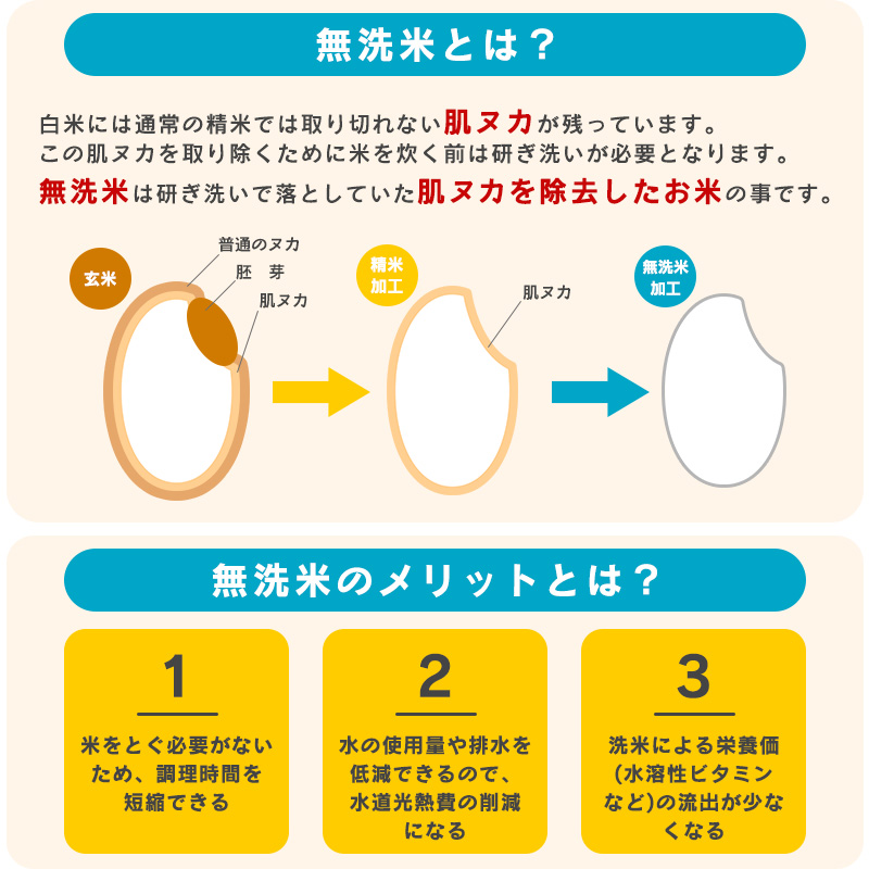 【令和7年産】新米 無洗米 ミルキークイーン 8kg（4kg×2袋）2025年産 【2025年9月下旬頃から順次発送予定】　028-C-JF033-2025