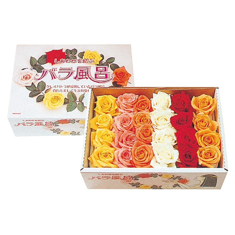 ご自宅用 バラ風呂セット（24輪）山形県産 ／ 薔薇 お取り寄せ 特産 名物 産地直送 ばら ギフト プレゼント フラワー ローズ 花 祝 贈答 記念 植物 癒し 香り 豪華 女子力 彼女 妻 母 女性 友達 コスプレ バス リラックス 撮影 国産 東北 山形　011-K-JS001