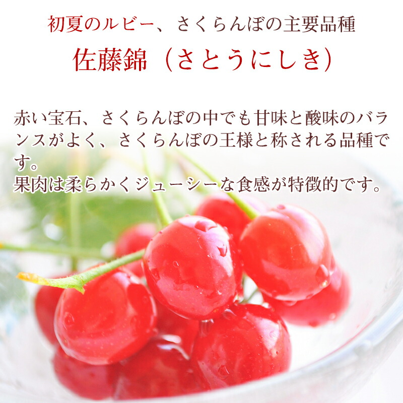 《先行予約》 令和8年産 温室栽培 さくらんぼ 「 佐藤錦 」秀品 200g（100g×2パック） 山形県産【2026年4月下旬頃から5月下旬頃発送予定】※配送不可 沖縄・離島　012-A-MM001
