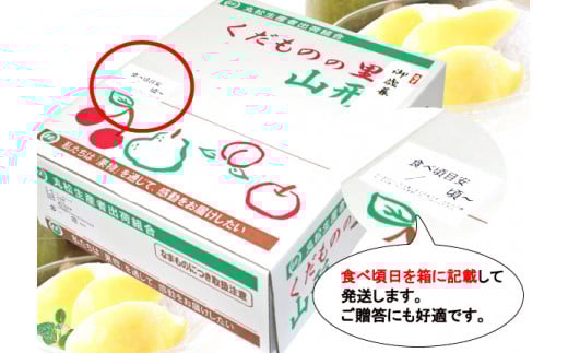 洋梨 「追熟 ラ・フランス」 3kg（8 - 11玉） 秀品 山形セレクション認定品 山形産 【2025年10月末頃から2026年1月頃発送予定】　012-B-MM025 3kg（8 - 11玉）