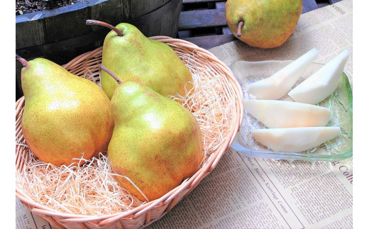 洋梨 「追熟 シルバーベル 」 3kg 秀品 （6 - 10玉） 秀品 山形産【2025年12月頃から2026年1月頃発送予定】　012-B-MM031 3kg （6 - 10玉）