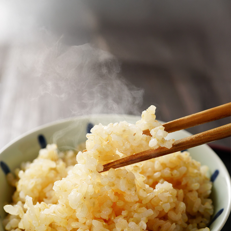 玄米 山形県産 はえぬき 20kg（5kg×4袋） 2025年産 令和7年産 20キロ 山形県寒河江市　072-C-MM048 20kg