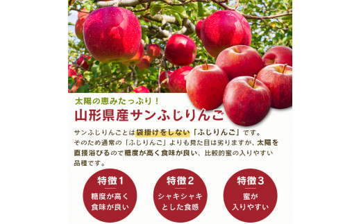 サンふじりんご ラ・フランス詰合せ 2.5kg 【2025年11月頃から2025年12月中旬頃発送予定】 012-B-MM072 詰合せ 2.5kg