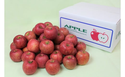 秀品 小玉りんご「サンふじ」 5kg （20 - 25玉入）【2026年1月上旬頃～下旬頃発送予定】　012-B-MM085 5kg （20 - 25玉入）