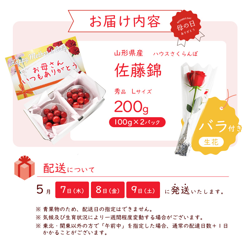 【先行予約】母の日《温室栽培》さくらんぼ 「 佐藤錦 」秀品 Lサイズ 200g（100g×2パック）バラ付き（生花）令和8年産 山形県産 【2026年5月7日・8日・9日 発送予定】 ※配送不可 沖縄・離島　019-A-MM088