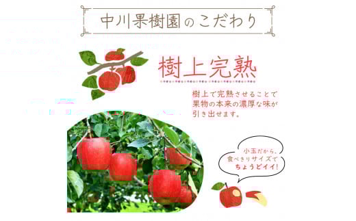 雪室りんご 5kg「樹上完熟 ふじりんご」 小玉サイズ 山形産 【2026年1月中旬頃～3月頃 発送予定】 2025年産 令和7年産 山形県　020-B-NG002 雪室りんご 5kg