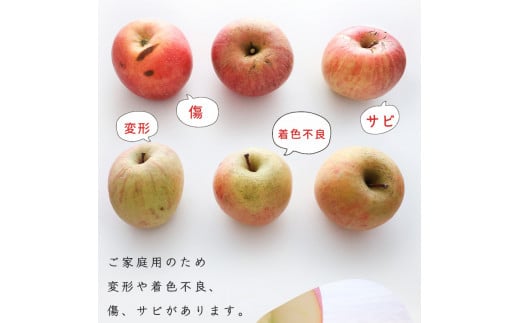 《訳あり》ご家庭用 ふじりんご 10kg 山形県産 2025年産 令和7年産 【2025年12月頃より順次発送予定】（フードロス対応・食品ロス・規格外・SDGs・生産者支援）　020-B-NG010 10kg