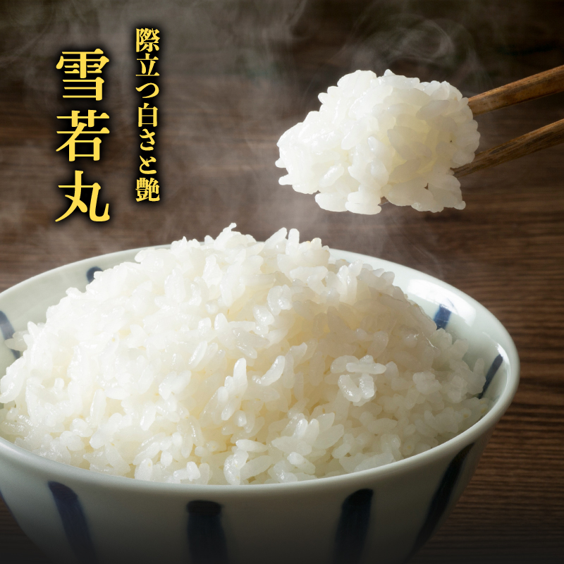《先行予約》令和8年産 新米 雪若丸 5kg×1袋 山形産【2026年10月中旬頃より順次配送予定】2026年産 山形県産　015-C-SR007-R8 令和8年産