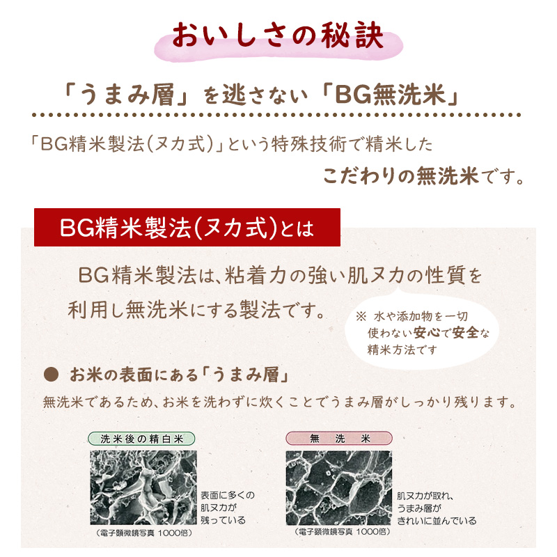 令和7年産 《特別栽培米》 BG無洗米 つや姫 10kg（5kg×2袋） 2025年産 山形県産　040-C-TH001