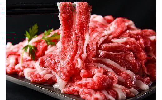 【45営業日以内配送】黒毛和牛 山形牛 1kg バラ 切り落とし（500g×2パック） 《脂の旨味が溢れる》　024-D-YL020 1kg（500g×2パック）