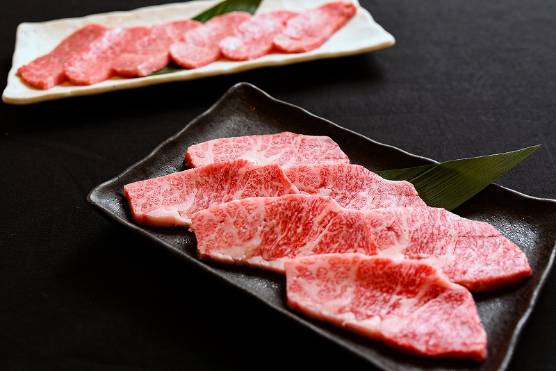 【45営業日以内配送】《焼肉店を直営する精肉工場からお届け》黒毛和牛「山形牛」焼肉用（肩・モモ・バラ お任せ）500g（500g×1パック）　019-D-YL046 500g（500g×1パック）