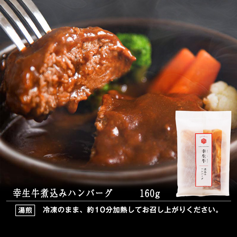 【45営業日以内配送】ふるさと納税限定 幸せを運ぶ牛《幸生牛》希少牛 ハンバーグ 2種とすき煮セット 合計6個 （各種2個ずつ） 山形県産 012-D-YL060