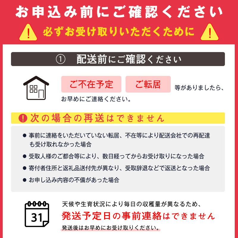 令和8年産 さくらんぼ「 佐藤錦 」300g (300g×1パック) 秀品 Lサイズ以上 2026年産 山形県産 【2026年6月上旬頃～下旬頃発送予定】※配送不可 沖縄・離島　010-A-AF019 300g (300g×1パック)