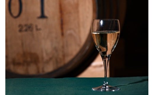 月山山麓 赤・白 ワイン ＜シャルドネヴィンテージ・メルロー＞（720ml×2本）《山形県産ぶどう100％》　018-E-CK014