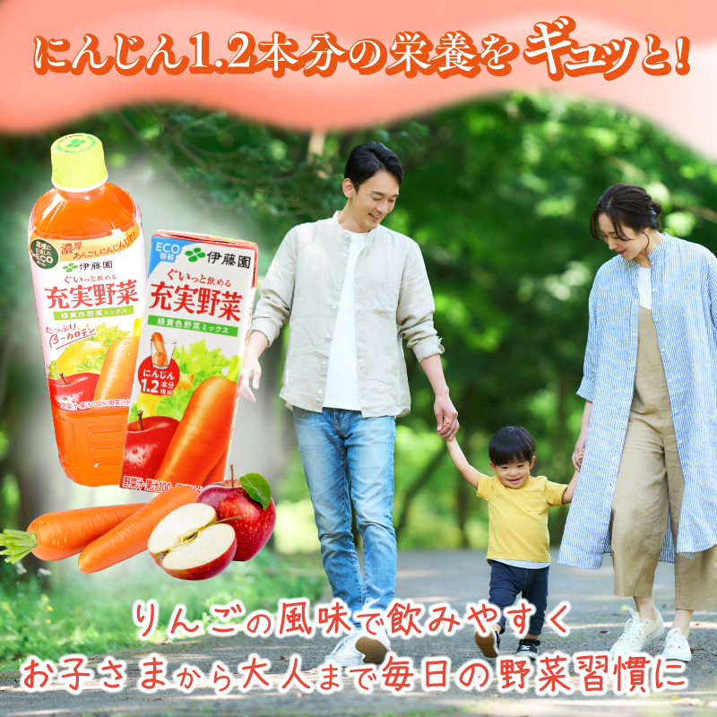 伊藤園 充実野菜 緑黄色ミックス 740g×15本セット（1ケース） ／ 野菜ジュース 飲料 ソフトドリンク ペットボトル PET 1箱 備蓄 常備 まとめ買い 箱買い ケース買い 国内製造   018-G-IT004 充実野菜 緑黄色ミックス ペットボトル740g×15本セット（1ケース）