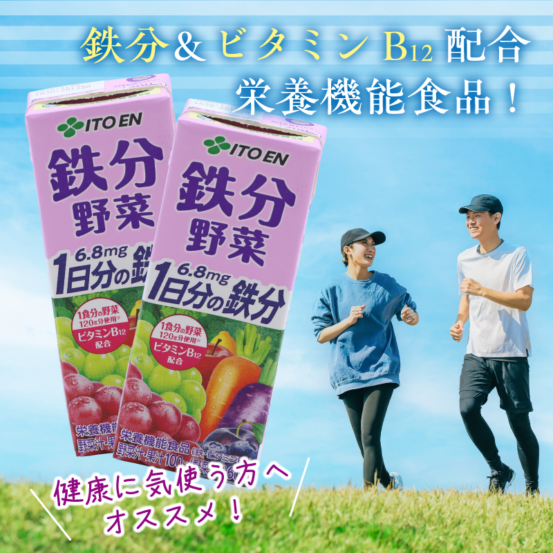 伊藤園 鉄分野菜 紙パック 200ml 48本 「1 食分の野菜」と「1 日分の鉄分」が果実で摂れるにんじんミックスジュース　023-G-IT014 24本