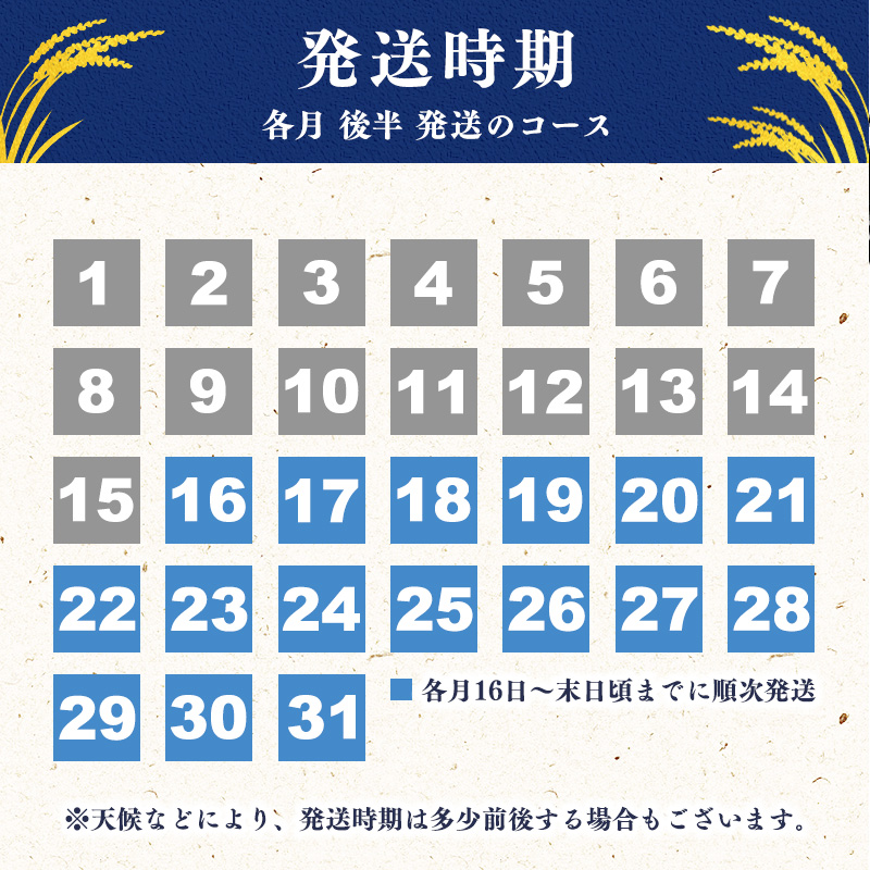 【2026年4月下旬】令和7年産 はえぬき 20kg（5kg×4袋）清流寒河江川育ち 山形産はえぬき 2025年産　067-C-JA011-202604下 2026年4月下旬発送