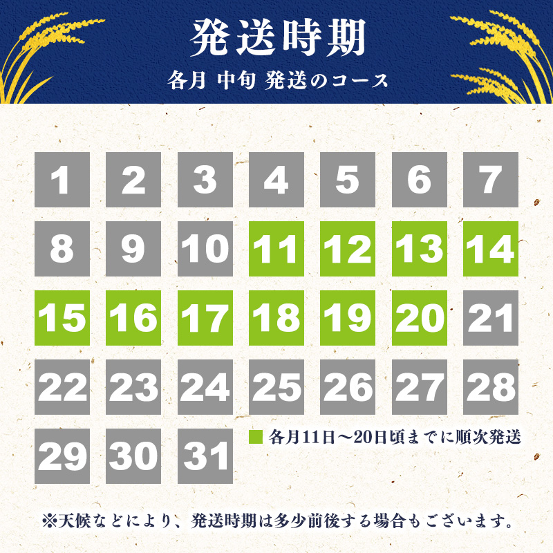 ＜2026年11月中旬より6回＞【令和8年産 定期便】はえぬき計60kg！お米 定期便（10kg×6回）！清流寒河江川育ち 山形産はえぬき 2026年産　173-C-JA013-202611中 2026年11月中旬より6回