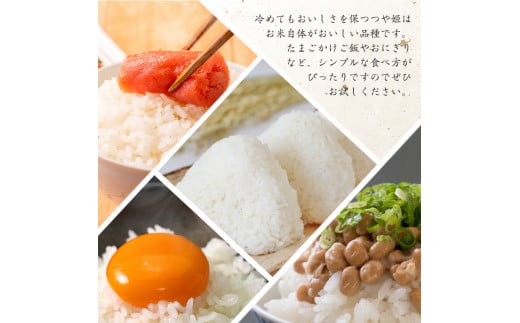 【特別栽培米】《JAさがえ西村山限定》 新米 山形県産 つや姫 ヴィラージュ 5kg 令和7年産【2025年11月より順次配送】 ／ 2025年産 白米 精米 お米 米 小分け ブランド米 ごはん 東北 国産 5キロ 山形県寒河江市　0185-C-JA018 5kg